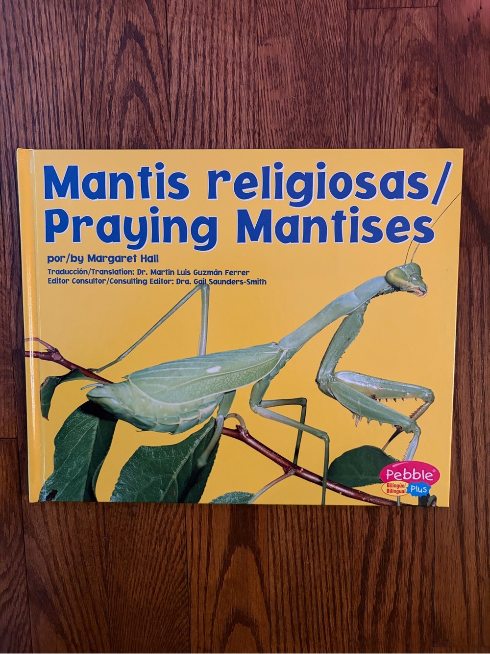 Praying Mantises Children’s Hardcover Photo Book Bilingual English Spanish